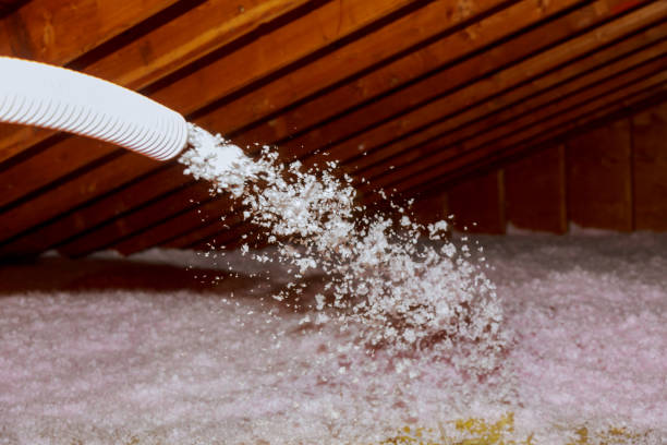 Best Crawl Space Insulation  in Mountain Road, VA