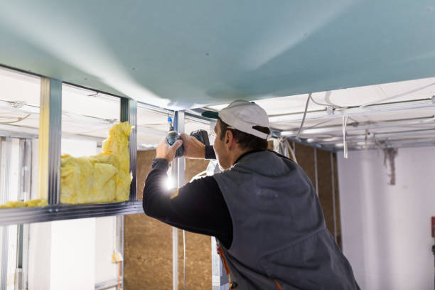 Best Energy-efficient Insulation  in Mountain Road, VA