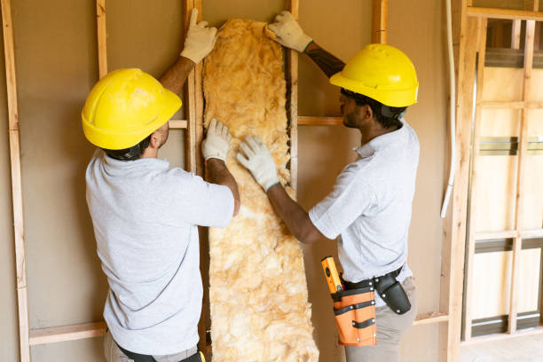 Best Energy-efficient Insulation  in Mountain Road, VA