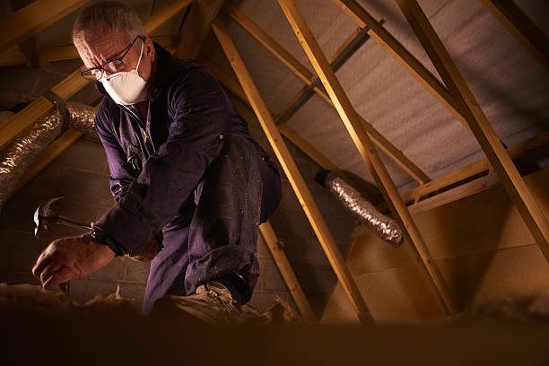 Best Attic Insulation Installation  in Mountain Road, VA